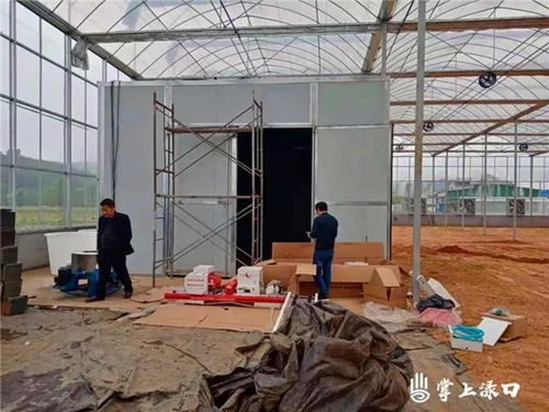 淥口區 工廠化育秧新模式與傳統民間工藝的鄉村振興交響