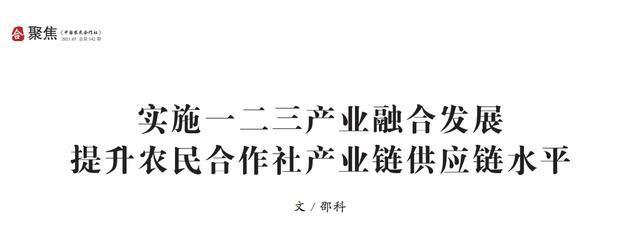 實(shí)施一二三產(chǎn)業(yè)融合發(fā)展 提升農(nóng)民合作社產(chǎn)業(yè)鏈供應(yīng)鏈水平——以農(nóng)村民間工藝制品為例