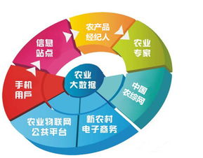 農(nóng)業(yè)市場(chǎng)雖難做，網(wǎng)絡(luò)技術(shù)賦能，鄉(xiāng)村也能出富豪