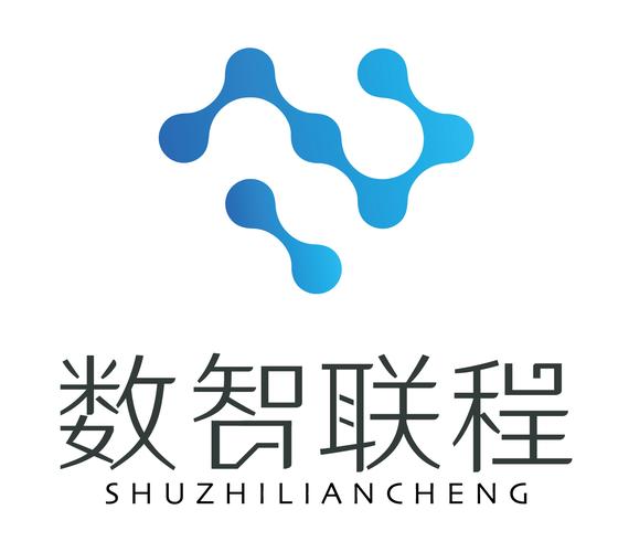 數(shù)智引領(lǐng)，聯(lián)程賦能——數(shù)智聯(lián)程（重慶）科技網(wǎng)絡(luò)技術(shù)服務(wù)深度解析